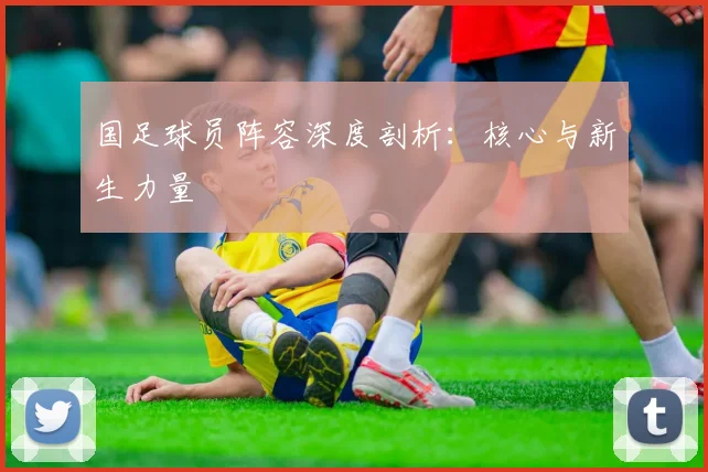 国足球员阵容深度剖析：核心与新生力量