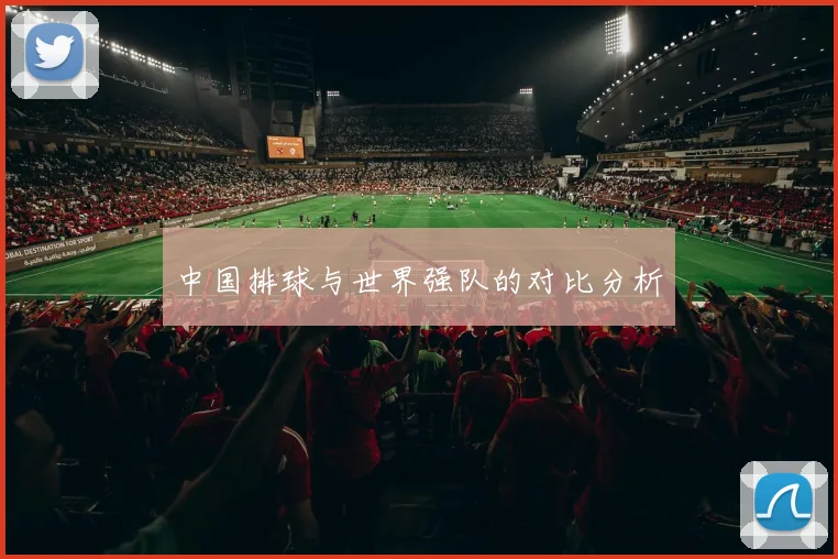 中国排球与世界强队的对比分析